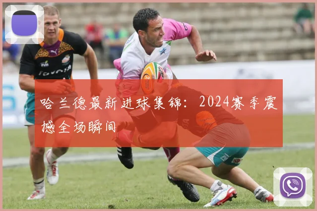 哈兰德最新进球集锦:2024赛季震撼全场瞬间