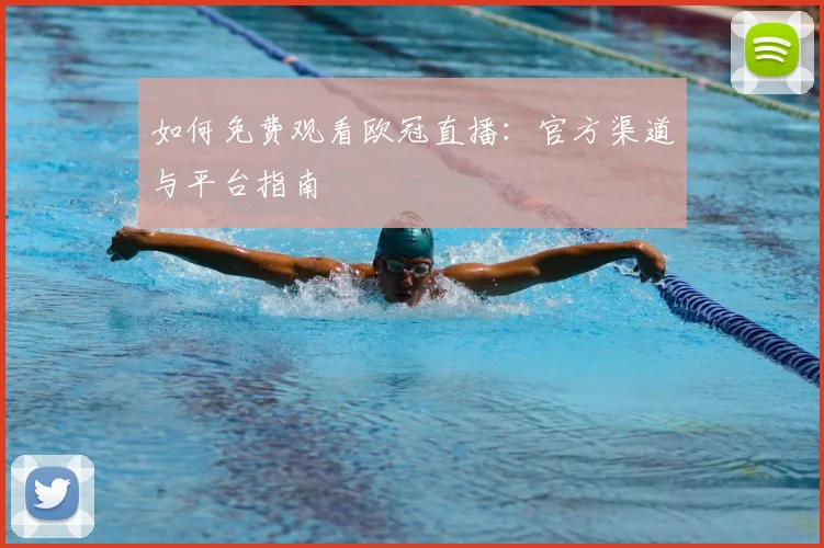 如何免费观看欧冠直播：官方渠道与平台指南
