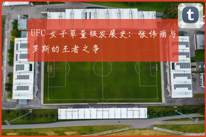 UFC 女子草量级发展史：张伟丽与罗斯的王者之争