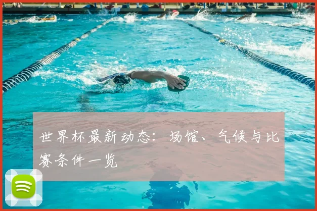 世界杯最新动态：场馆、气候与比赛条件一览
