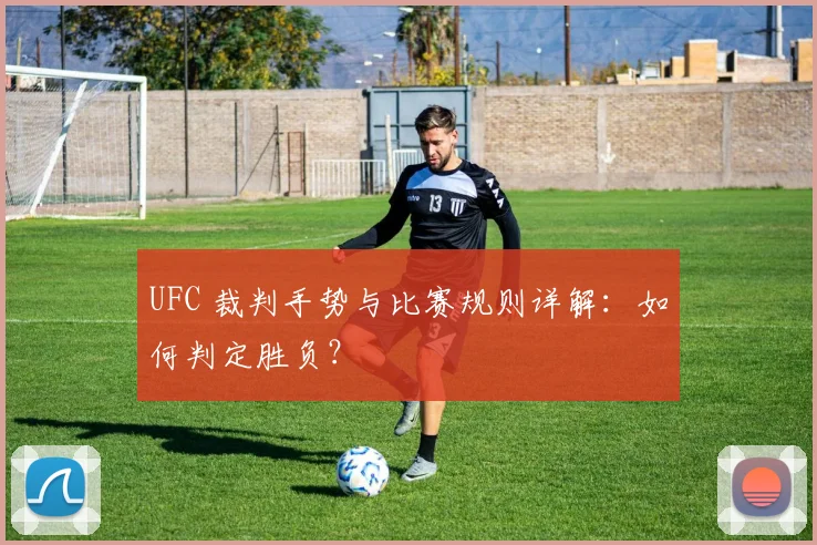 UFC 裁判手势与比赛规则详解：如何判定胜负？