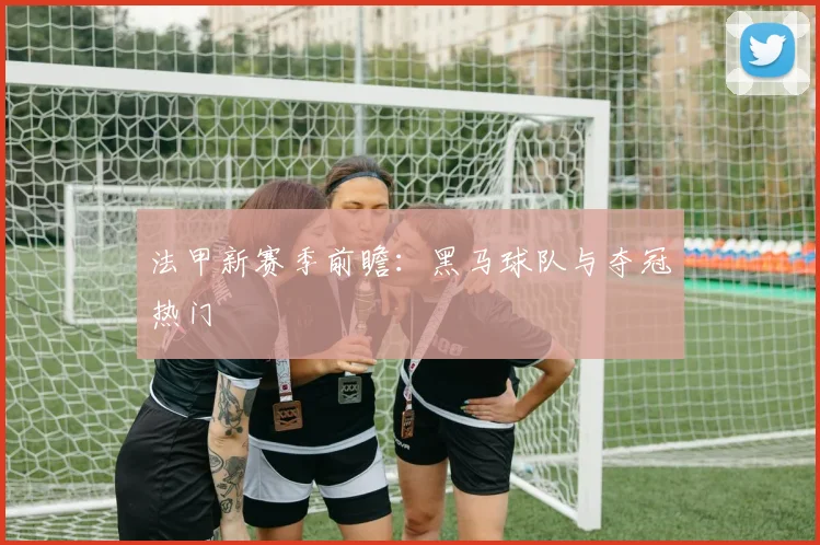 法甲新赛季前瞻:黑马球队与夺冠热门