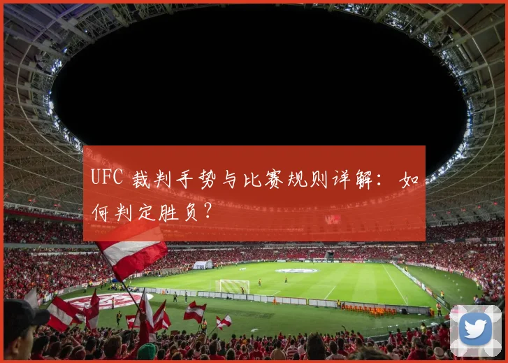 UFC 裁判手势与比赛规则详解：如何判定胜负？